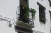 Casa Rural T�o Emilio