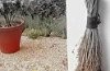 Antaviana Hospeder�a Rural