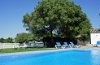 :: Piscina :: Cortijo El Indiviso