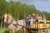 Casa Rural Ab�nades