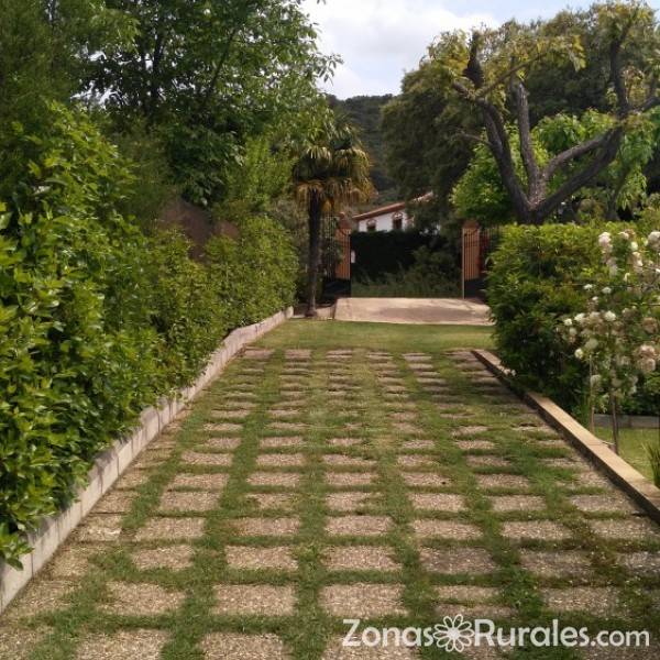 Villa Hortensias | Vivienda turística en Aracena (Huelva)