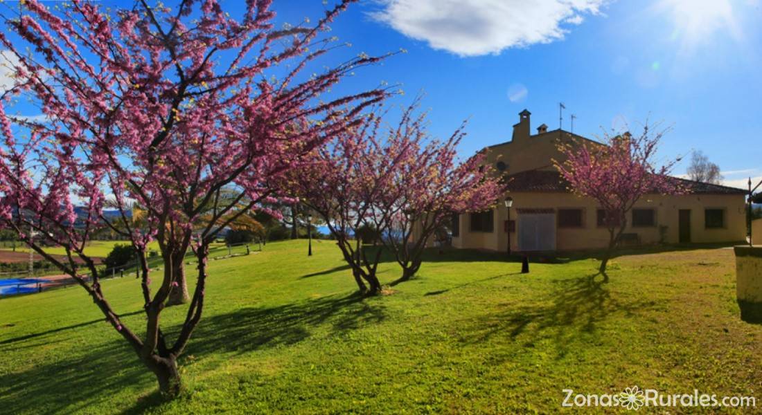 Finca Santa Elena | Casa Rural en Ontinyent / Onteniente ...