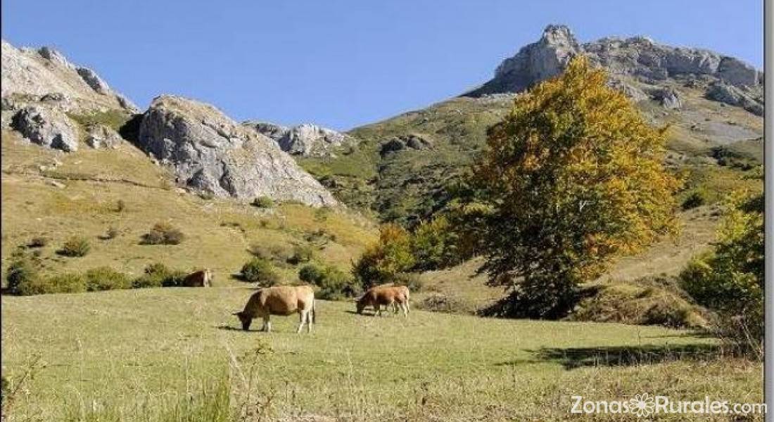 apartamentos rurales el lago la pinietsa apartamentos rurales en somiedo asturias apartamentos rurales el lago la pinietsa apartamentos rurales en somiedo asturias