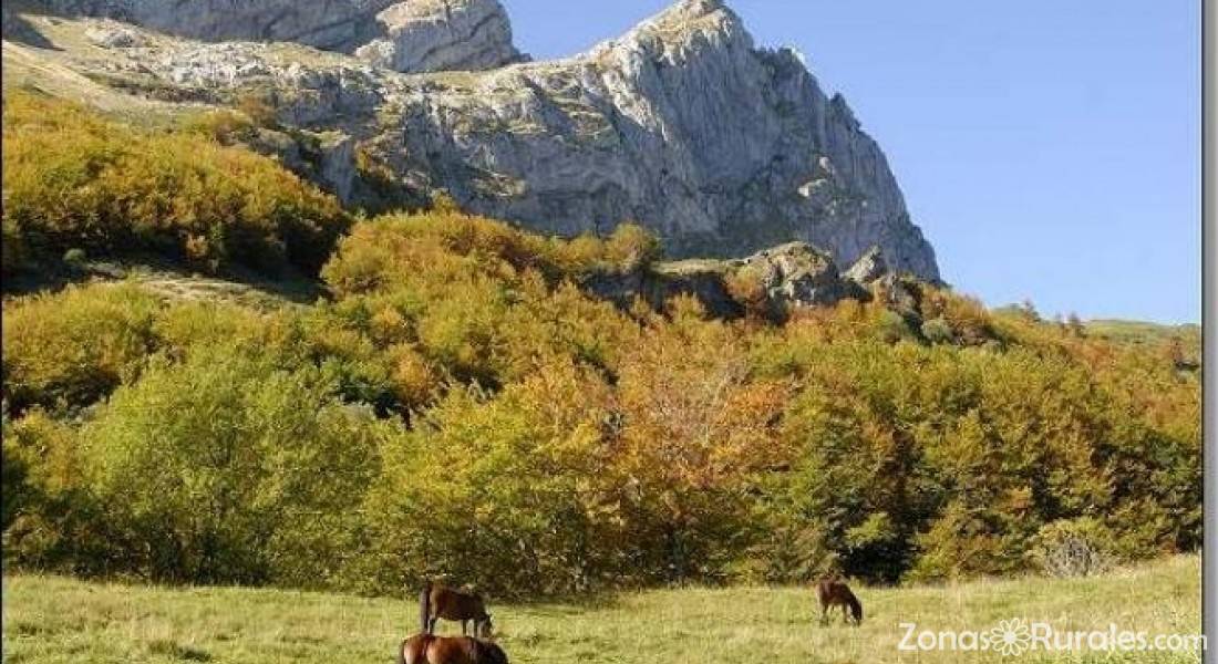 apartamentos rurales en somiedo la pinietsa apartamentos rurales en somiedo asturias apartamentos rurales en somiedo la pinietsa apartamentos rurales en somiedo asturias