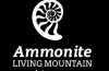 Ammonite Living-Mountain