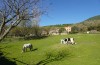 Granja Escuela Casavieja