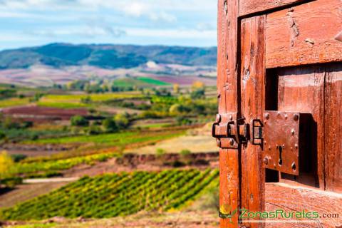 Vistas a los viedos