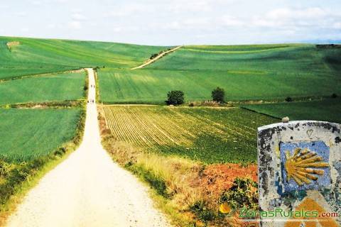 Un viaje rural por el misterio del Camino de Santiago