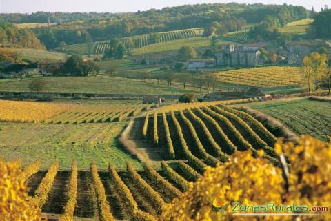 La ruta del Rioja: turismo rural, naturaleza, historia y vino