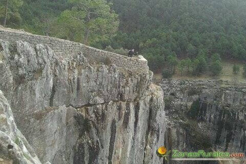 Cazorla: Viaje al centro de la naturaleza