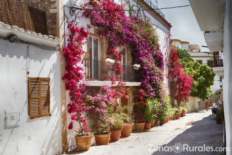 Te vienes a disfrutar de Ibiza?