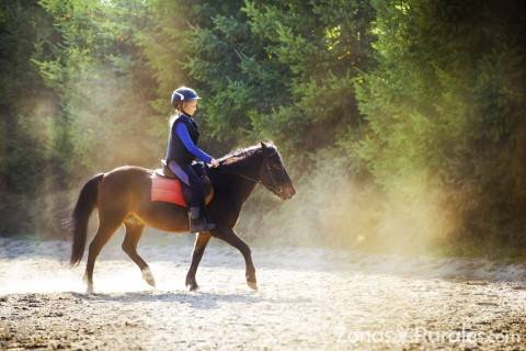 Montar a caballo