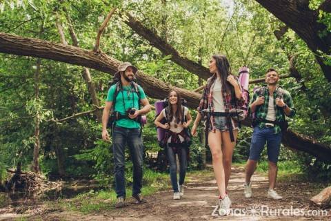 Turismo en el Bosques