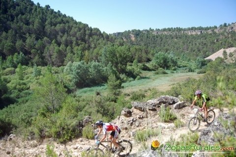 Paraje de La Noguera en El Picazo (Cuenca)