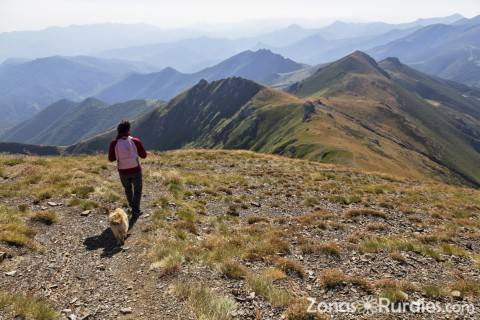 Los beneficios del turismo rural para las mascotas