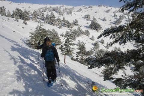 Turismo rural y nieve en Madrid: la idea perfecta para un invierno de provecho