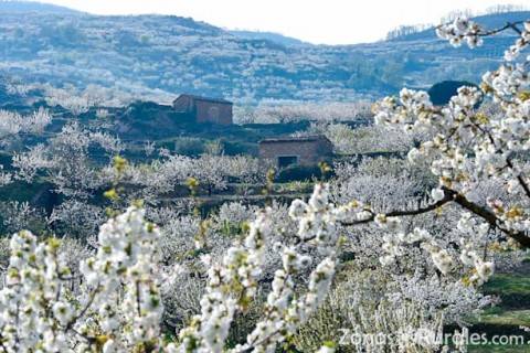 Valle del Jerte, el mejor destino para tus vacaciones rurales en primavera