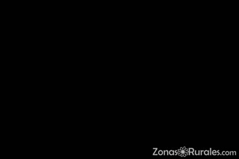 Qu hacer en caso de mal tiempo durante tu escapada rural?