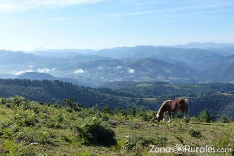 Alquilar una casa rural en verano en el norte de Espaa