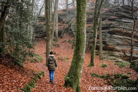 El senderismo es un beneficio para los cinco sentidos