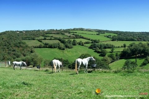 Espaa Verde, mucho que ver en un pas rural