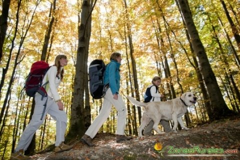 Qu has de saber para irte de turismo rural