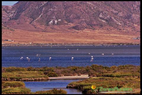 Parque Natural del Cabo de Gata, Njar