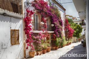 14 casas rurales en Ibiza para un verano idlico