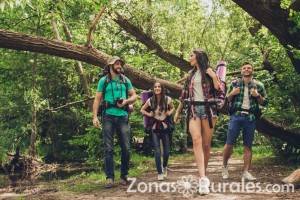 Turismo en el Bosques