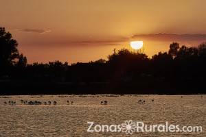 Parque Nacional de Doana, turismo rural en el corazn de Andaluca