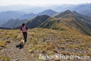 Los beneficios del turismo rural para las mascotas