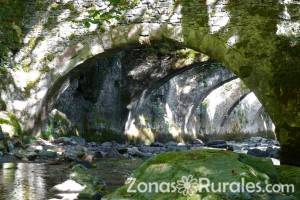 Una ruta natural por Navarra