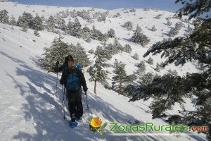 Turismo rural y nieve en Madrid: la idea perfecta para un invierno de provecho