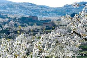 Valle del Jerte, el mejor destino para tus vacaciones rurales en primavera