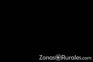 Auque haya granizo disfruta de actividades dentro de tu casa rural