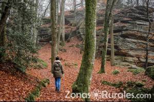 El senderismo es un beneficio para los cinco sentidos