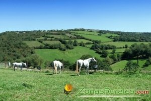 Espaa Verde, mucho que ver en un pas rural