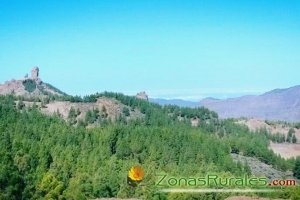 Una caminata al Roque Nublo de Gran Canaria