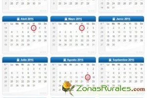 Calendario laboral 2015: entrate de los ocho das festivos y aprovchalos