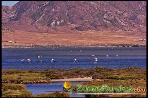 Parque Natural del Cabo de Gata, Njar