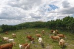 Oferta de Casa Salva: 5% MENOS EN CASA RURAL POR OFERTA DE ULTIMA HORA, HASTA 16