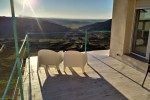 Oferta de Antigua Casa de Pedro Chicote: OFERTA : NOSOTROS BAJAMOS LOS PRECIOS!! CASAS PRECIOSAS CON CHIMENEA