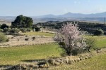 Oferta de Casa Rural Hospital del Temple: OFERTA FAMILIAS