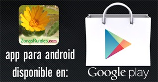 App Casas Rurales